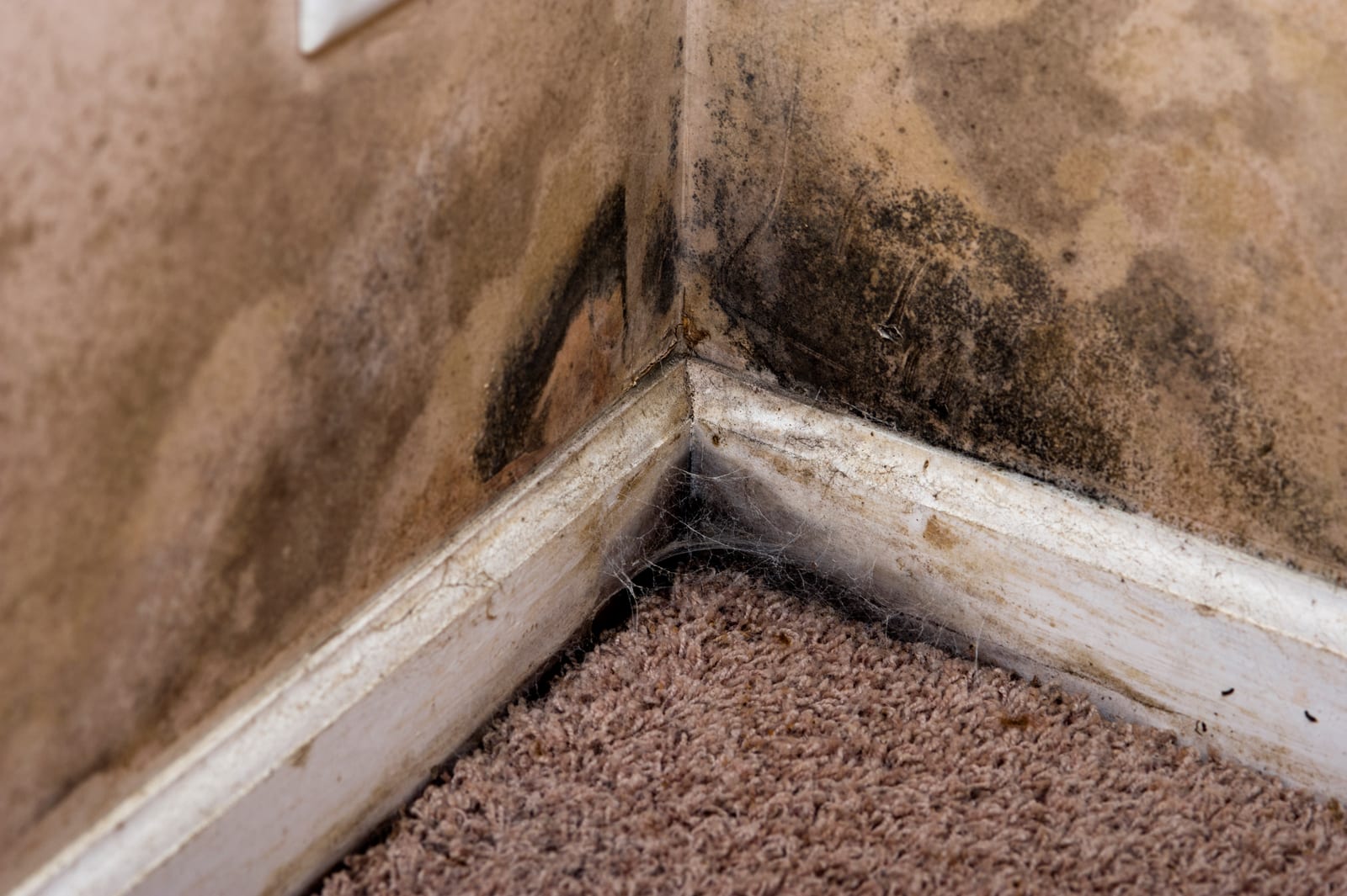Regency Roofing damp proofing project 2